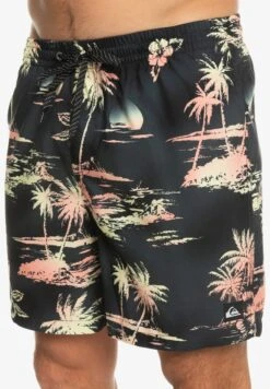 Quiksilver EVERYDAY MIX VOLLEY 17 - Badeshorts - Black 11 Quiksilver EVERYDAY MIX VOLLEY 17 - Badeshorts - Black -Indicode Jeans Verkäufe 47ef0a5053ad4075b4bbefef8c845130