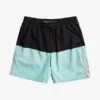Quiksilver OMNI 17 - Shorts - Black