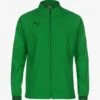 Puma Trainingsjacke - Amazon Green/dark Green